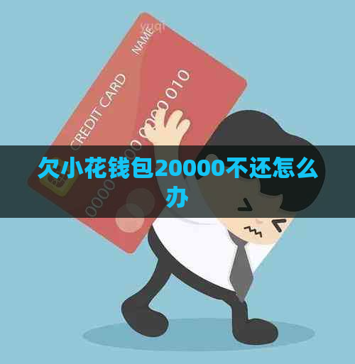 欠小花钱包20000不还怎么办