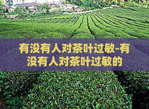 有没有人对茶叶过敏-有没有人对茶叶过敏的