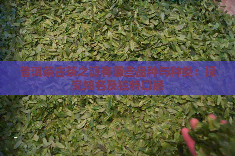 普洱茶古茶之源有哪些品种与种类：探究知名及独特口感