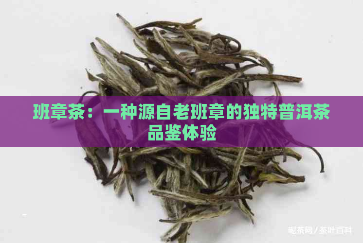 班章茶：一种源自老班章的独特普洱茶品鉴体验