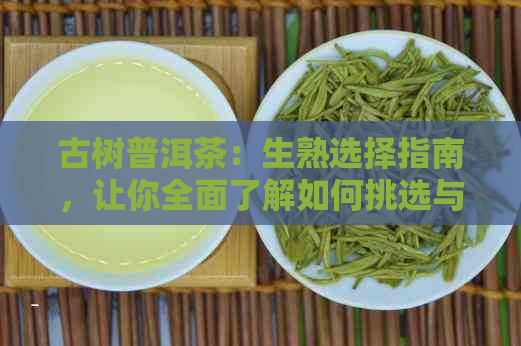 古树普洱茶：生熟选择指南，让你全面了解如何挑选与品鉴