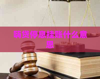 嗨贷停息挂账什么意思