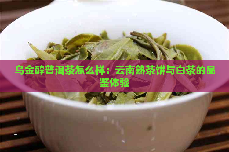 乌金醇普洱茶怎么样：云南熟茶饼与白茶的品鉴体验