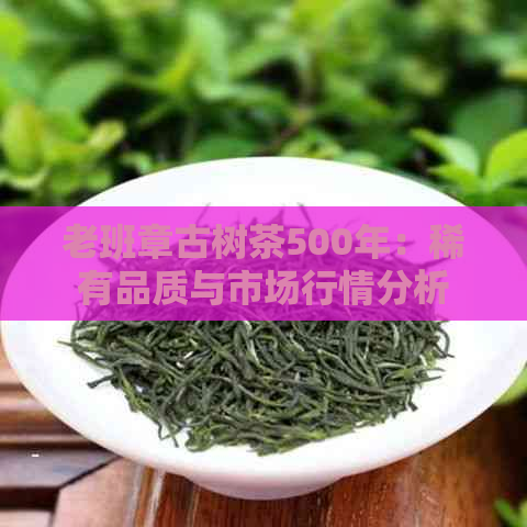 老班章古树茶500年：稀有品质与市场行情分析