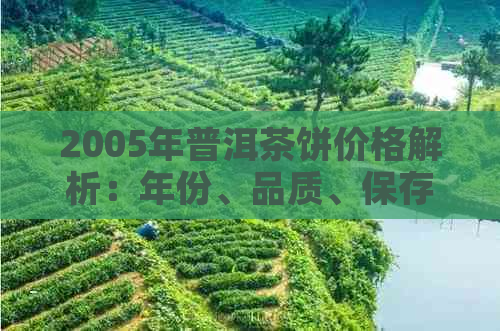 2005年普洱茶饼价格解析：年份、品质、保存状况对价值的影响及市场行情概述