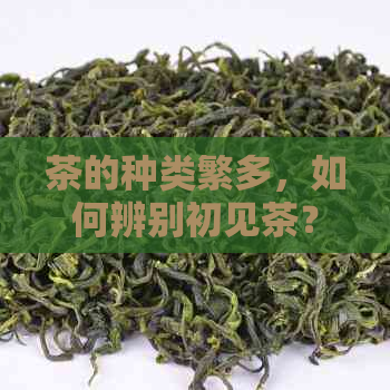 茶的种类繁多，如何辨别初见茶？了解其特点与制作工艺！