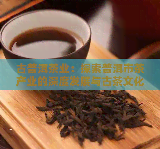 古普洱茶业：探索普洱市茶产业的深度发展与古茶文化传承