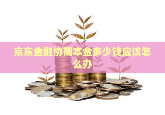 京东金融协商本金多少钱应该怎么办