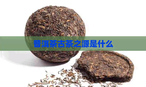 普洱茶古茶之源是什么