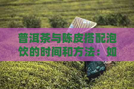 普洱茶与陈皮搭配泡饮的时间和方法：如何才能品尝出口感？