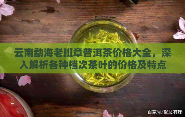 云南勐海老班章普洱茶价格大全，深入解析各种档次茶叶的价格及特点