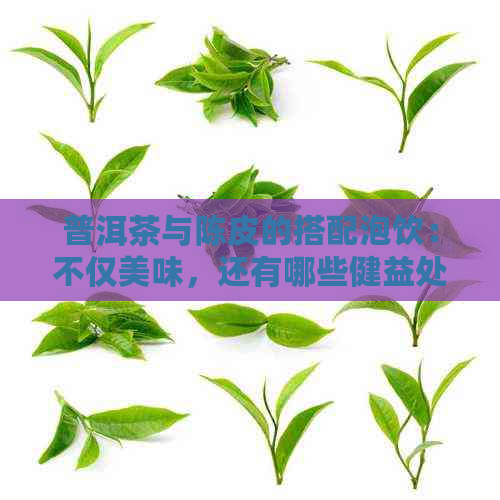 普洱茶与陈皮的搭配泡饮：不仅美味，还有哪些健益处？