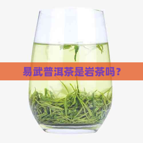 易武普洱茶是岩茶吗？