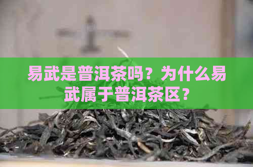 易武是普洱茶吗？为什么易武属于普洱茶区？