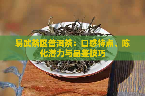 易武茶区普洱茶：口感特点、陈化潜力与品鉴技巧