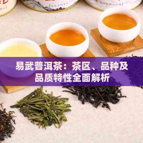 易武普洱茶：茶区、品种及品质特性全面解析