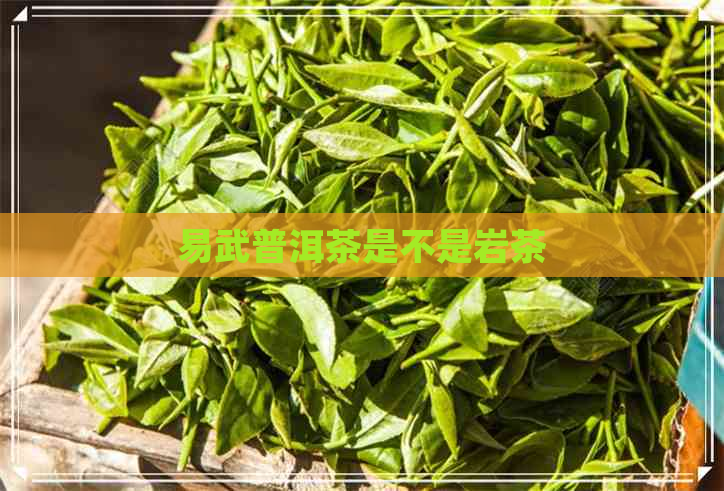 易武普洱茶是不是岩茶