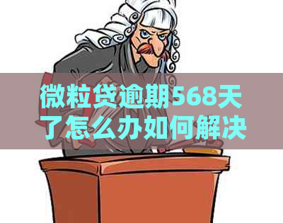 微立贷逾期568天了怎么办如何解决