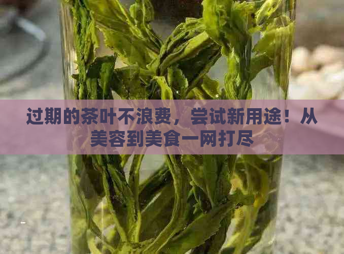 过期的茶叶不浪费，尝试新用途！从美容到美食一网打尽