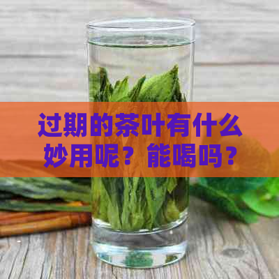 过期的茶叶有什么妙用呢？能喝吗？能做什么用途？