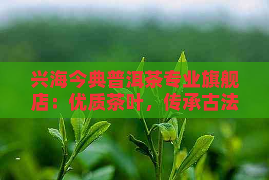 兴海今典普洱茶专业旗舰店：优质茶叶，传承古法，品味人生