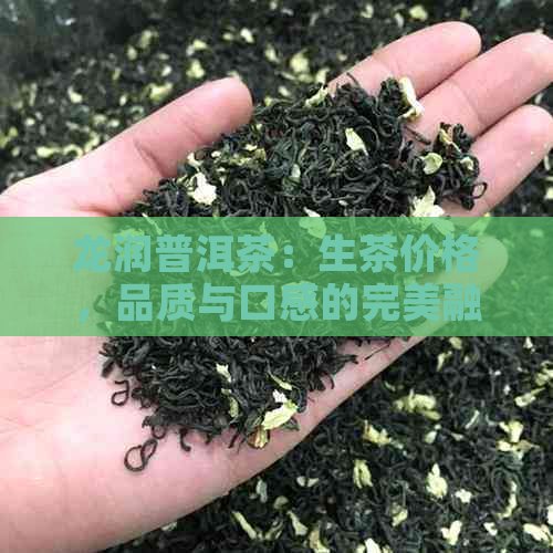 龙润普洱茶：生茶价格，品质与口感的完美融合