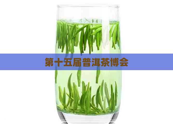 第十五届普洱茶博会