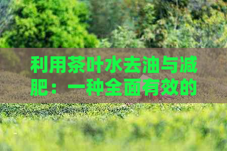 利用茶叶水去油与减肥：一种全面有效的方法