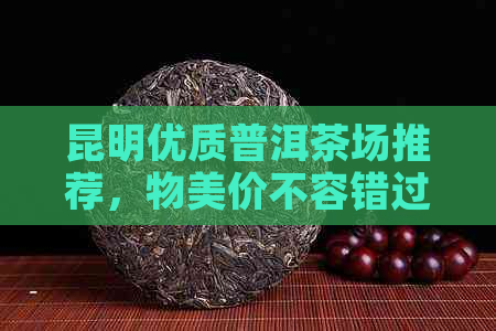 昆明优质普洱茶场推荐，物美价不容错过