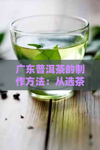 广东普洱茶的制作方法：从选茶到冲泡，全面解析如何品鉴与冲泡广东普洱茶