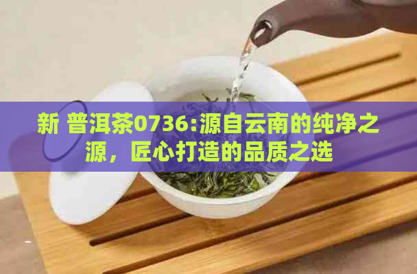 新 普洱茶0736:源自云南的纯净之源，匠心打造的品质之选