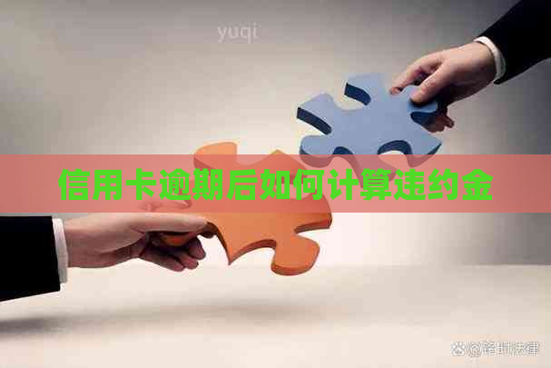 信用卡逾期后如何计算违约金