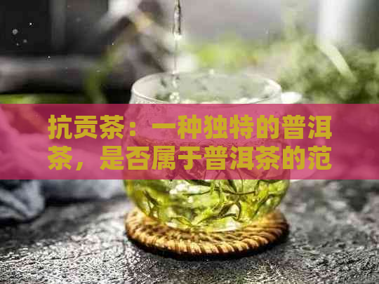 抗贡茶：一种独特的普洱茶，是否属于普洱茶的范畴？