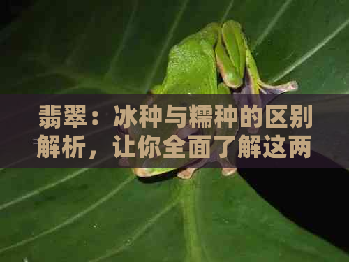 翡翠：冰种与糯种的区别解析，让你全面了解这两种珍贵的翡翠品种