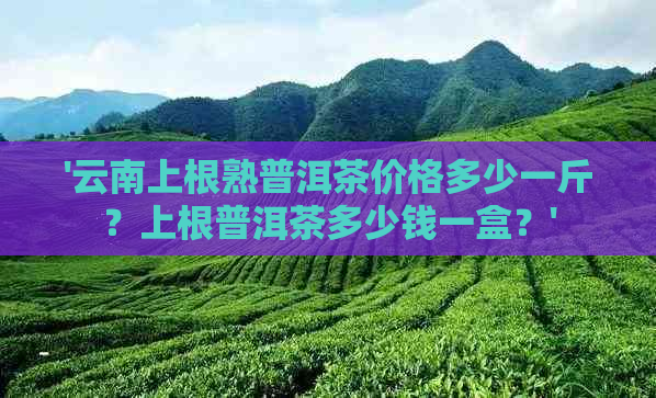 '云南上根熟普洱茶价格多少一斤？上根普洱茶多少钱一盒？'