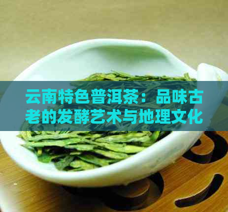 云南特色普洱茶：品味古老的发酵艺术与地理文化之美