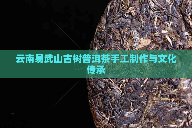 云南易武山古树普洱茶手工制作与文化传承