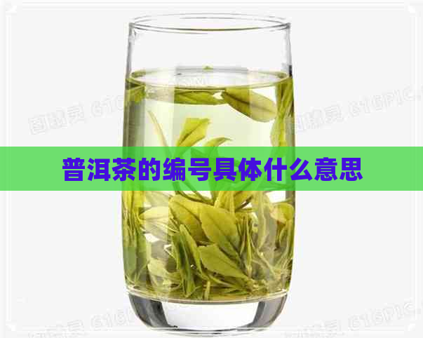 普洱茶的编号具体什么意思