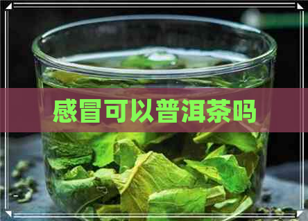 感冒可以普洱茶吗