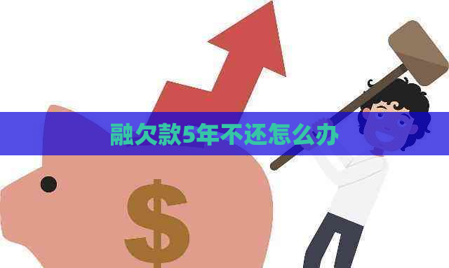 融欠款5年不还怎么办