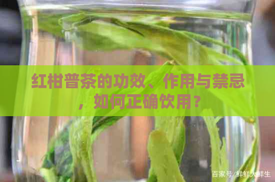 红柑普茶的功效、作用与禁忌，如何正确饮用？