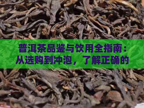 普洱茶品鉴与饮用全指南：从选购到冲泡，了解正确的喝法和体验