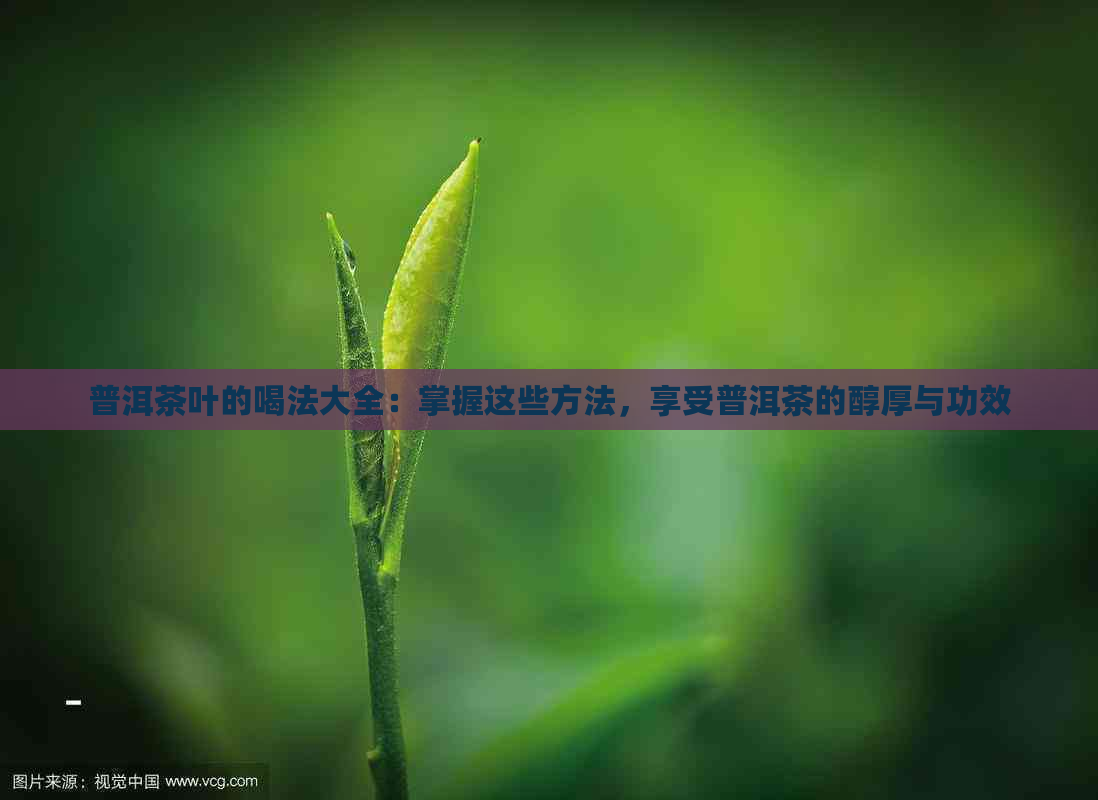 普洱茶叶的喝法大全：掌握这些方法，享受普洱茶的醇厚与功效