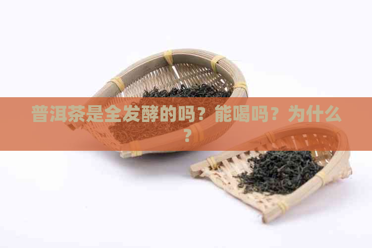 普洱茶是全发酵的吗？能喝吗？为什么？