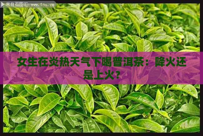 女生在炎热天气下喝普洱茶：降火还是上火？