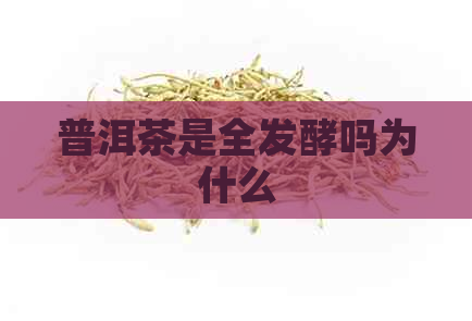 普洱茶是全发酵吗为什么