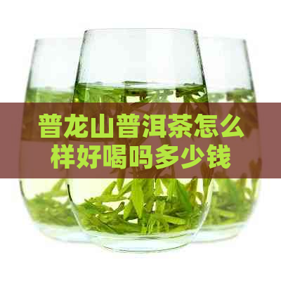 普龙山普洱茶怎么样好喝吗多少钱