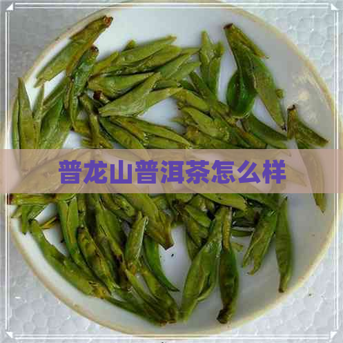 普龙山普洱茶怎么样