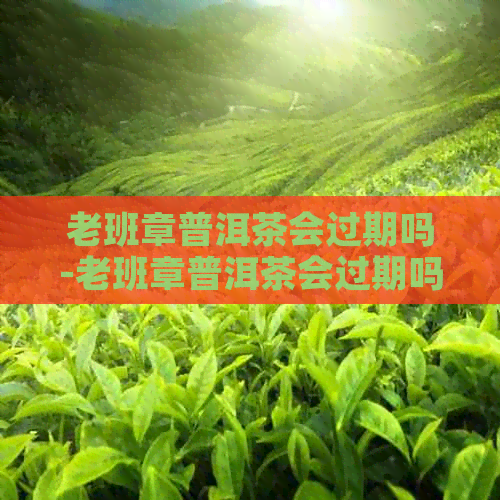 老班章普洱茶会过期吗-老班章普洱茶会过期吗?