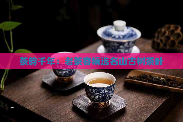 茶韵千年：老茶客精选名山古树茶叶